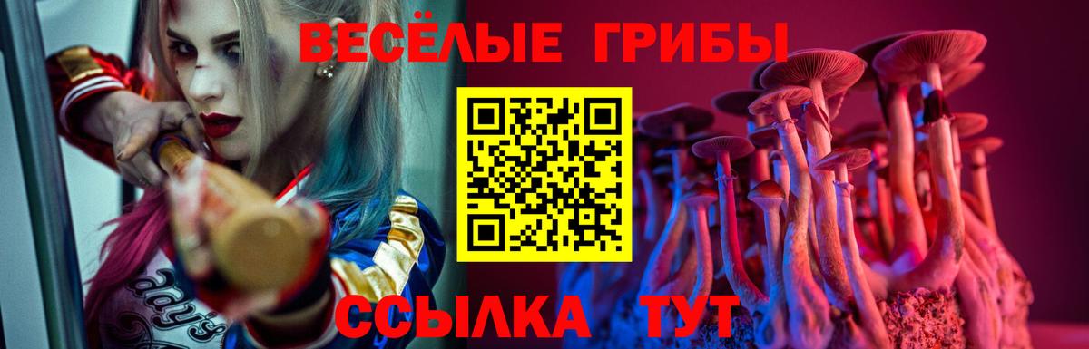 Псилоцибиновые грибы мухоморы Волгодонск